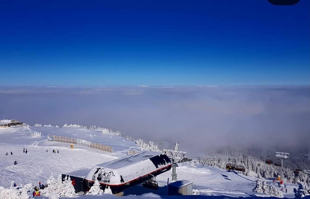 Jelka Apartmani Jahorina Extérieur photo